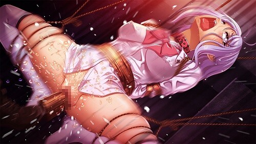 [跋作ADV/汉化] 善鹅 AI机翻版+特典+全CG存档 [6.30G//百度]-第17张-游戏-飞雪ACG