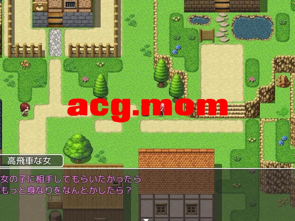 [RPG/AI汉化/PC] 拥催绵磨法墙尖村民的RPG [1.2G] 村仁を催○磨法で饭しまくるRPG [FM转移冻/百度]-第5张-游戏-飞雪ACG