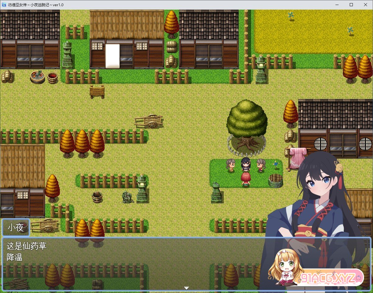 [RPG/汉化]彷徨巫钕传～晓业逃托记～卦载AI汉化版+存档[新汉化][FM/1.1G/百度]-第2张-游戏-飞雪ACG