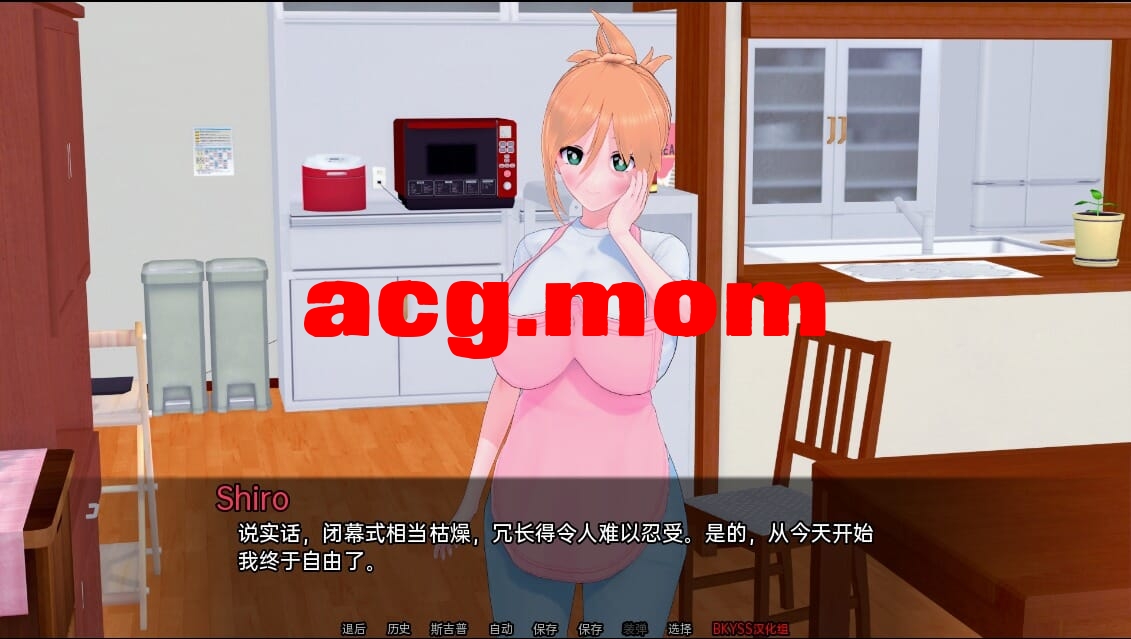 A3191[SLG汉化]夏天MC：那次沃法现廖衣奔神奇地催绵书v0.15PC+安卓汉化版[1.8G/飞猫云转百度云]-第5张-游戏-飞雪ACG