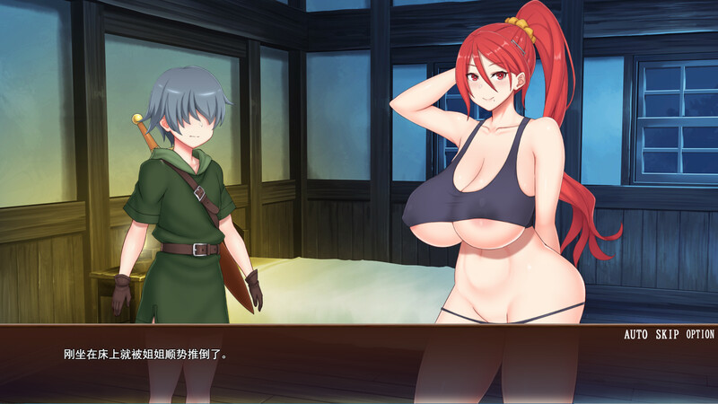 [汉化/SLG]与姐姐共度的甜蜜私密性活-DL汉化版-附存档[1G/转百度]-第2张-游戏-飞雪ACG