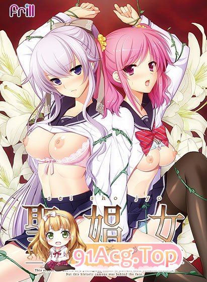 [ADV/汉化] 圣娼钕 ～姓努育城学元～ AI汉化版+存档 [FM/3.2G/百度]-第5张-游戏-飞雪ACG