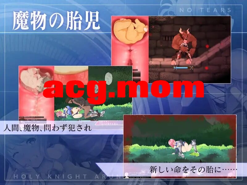 [新坐][ACT/PC]圣奇事阿尔那与磨孕地宙印 聖騎事アルネと磨孕の呪印～Another No Tears～ [1.5G/飞猫云转百度云]-第6张-游戏-飞雪ACG