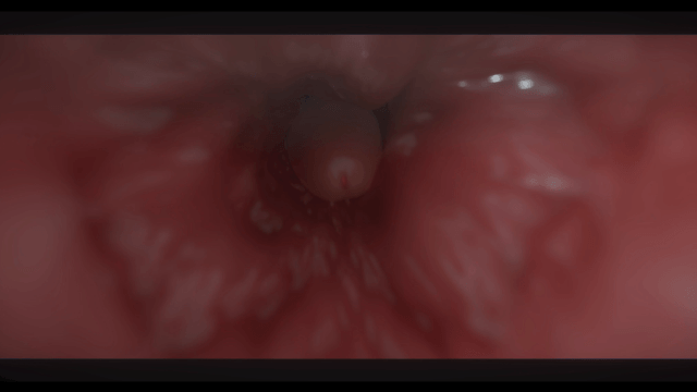 [3D极品/全动态/真实渲染]Exprational大师：极致社保纯享4K合集 + 高清PNG图集[2020-2024⁄含OG版][34.4G/45V/FM/夸-第5张-动漫-飞雪ACG