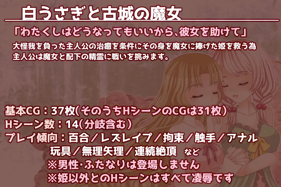 [RPG/AI汉化] 白うさぎと古城の魔女 [百度/1.3G]-第2张-游戏-飞雪ACG