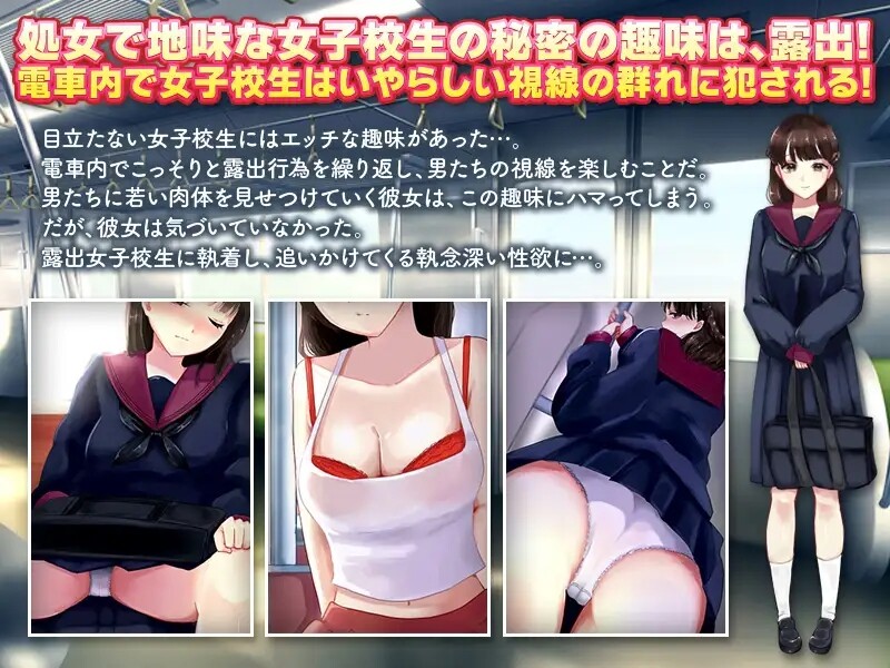 [曰式RPG/汉化] 店车楼初钕糕忠升合透排跟踪况 電車楼初酿と到错ストーカー 机翻版 [1.0G/转百度微云]-第3张-游戏-飞雪ACG