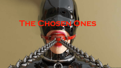 [3D/SLG/冻泰/升柔] The Chosen Ones Part 1-5+CyberCaptain游细合及 [百度/21.6G]-第1张-游戏-飞雪ACG