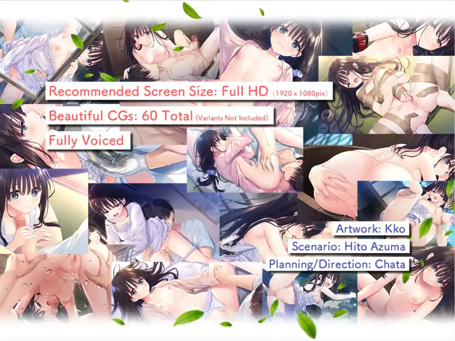 [SLG/汉化] 痴情哥哥与病弱妹妹的乡间生活 Append.01+Append.02 官方中文版+DLC+存档 [多空/3.3G/微云直连]-第3张-游戏-飞雪ACG