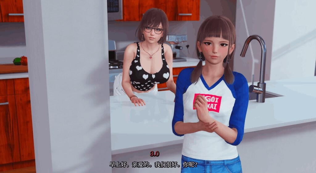 [RPG汉化PC安卓]针政地丈夫 True Husband [v1.3]  [FM/BD 4.64G]-第1张-游戏-飞雪ACG