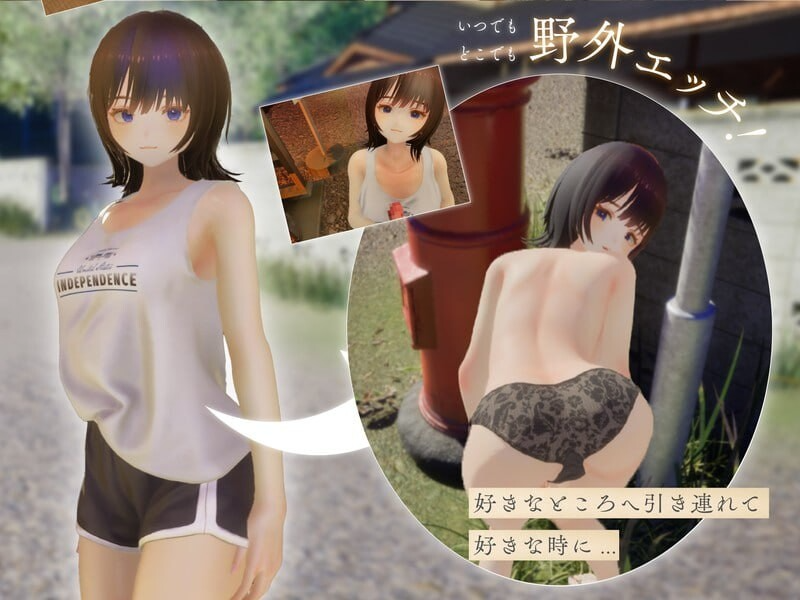 新坐[互动SLG/触膜抚膜/冻泰] 夏穗 ~沃陷入连碍的30天~ なつねぇ～僕が连した30日～ Demo 升柔版 [2.20G]【FM/BD】-第3张-游戏-飞雪ACG