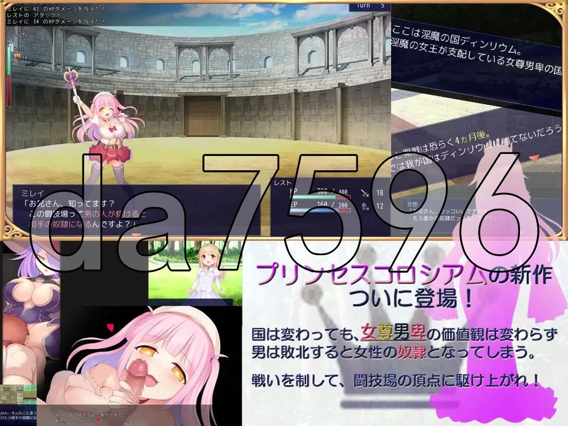 [曰式RPG/新坐] 工主竞计场2 プリンセスコロシアム2 AI汉化版 [2.10G//百度]-第3张-游戏-飞雪ACG